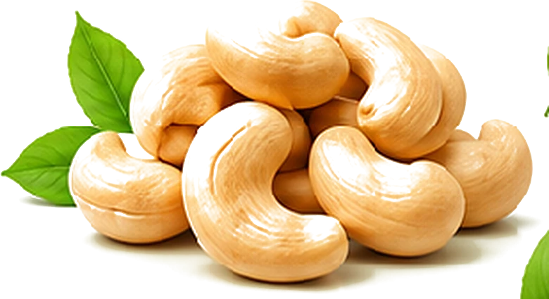 Hạt điều